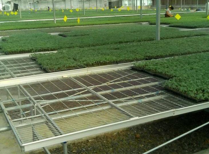 1564975161522814.jpg <a href='http://www.023lawyer.com/miaochuangsheshi/199.html'target='_blank'><a href='http://www.023lawyer.com/miaochuangsheshi/199.html'target='_blank'><a href='http://www.023lawyer.com/miaochuangsheshi/199.html'target='_blank'>育苗床</a></a></a>.jpg