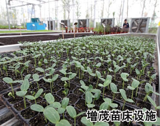 溫室育苗設備