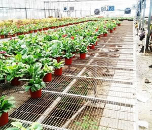 溫室植床網(wǎng)